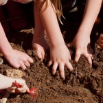 1_20150426-Lutz-4263126-copy